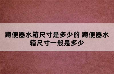 蹲便器水箱尺寸是多少的 蹲便器水箱尺寸一般是多少